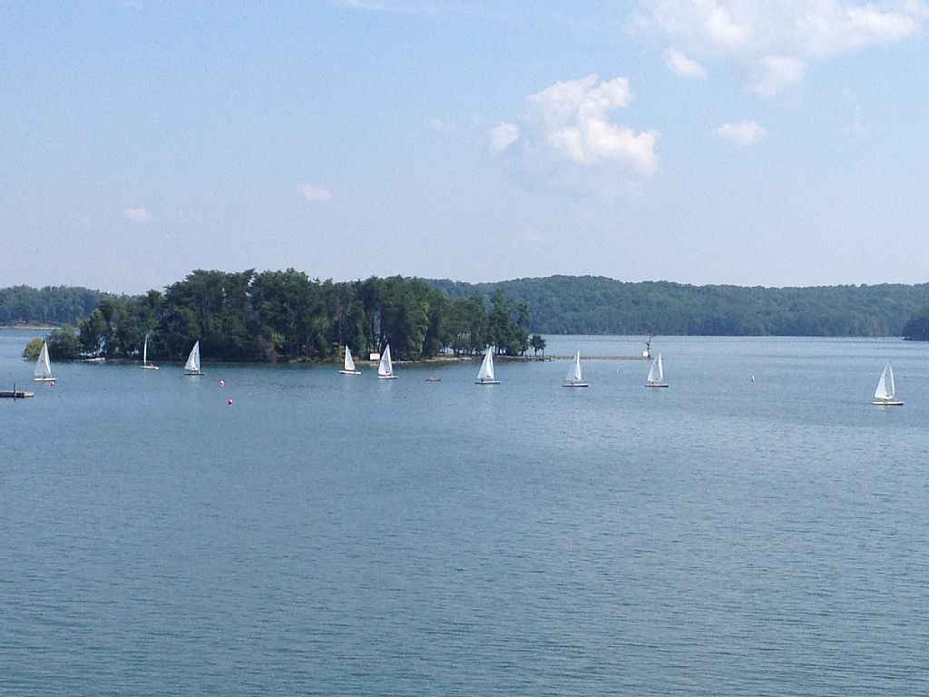 regatta regatta